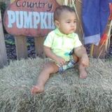 Teen Mom looking for income
