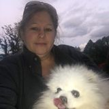 Experienced pet sitter domestic and farm animals