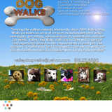 Valley Dog Walks Serving all of the SFV :)
