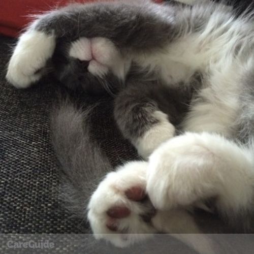 Pet Care Job Eugene M's Profile Picture