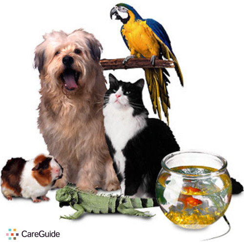 Pet Care Provider Eli B's Profile Picture