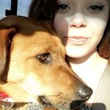 Pet Sitter Available