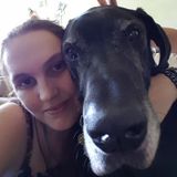 Educated Animal Care Provider, with a love for animals big and small!