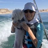 Phoenix Pet Sitter Looking For Being Hired