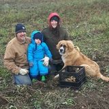 Wanted: Mother's Helper April 2017 East of Leduc