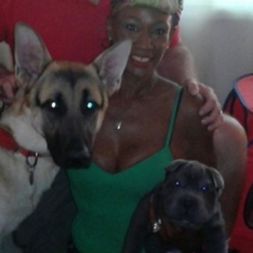 Pet Care Provider Salina H's Profile Picture