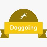 Long Branch Dog Walker Seeking Job Opportunities