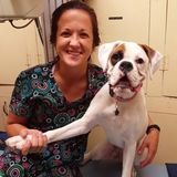 Professional Pet Sitting Professional for Hire