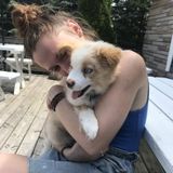 Loving Animal Caregiver!