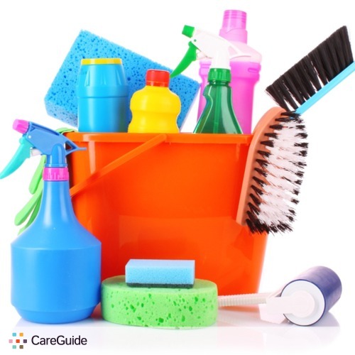 Housekeeper Provider The Cleaning B's Profile Picture