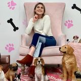 Wonderful Pet Care Available Today
