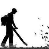 Landscaper-Amazing Work