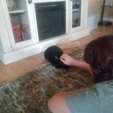 Interested In Mount Dora Pet Service Provider, Florida Jobs