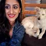 Interested In a Housesitter Job