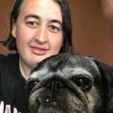 I love animals. so make me a part of your pets family.