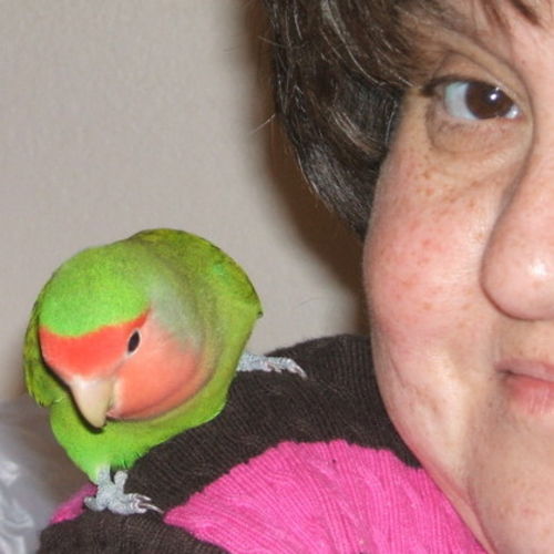 Pet Care Provider Andrea S's Profile Picture