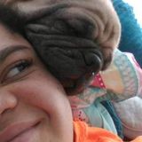 Searching for Salem Pet Sitter Jobs