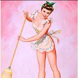 Phoenix Cleaner Job