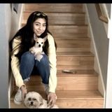 Interviewing For Nacogdoches Pet Sitting, Texas Jobs