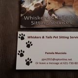 Caring Cat Sitting Professional Available Immediately