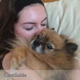 Pet sitting for people around wayne nj