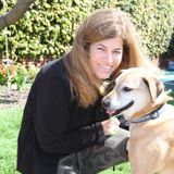 Devoted and Friendly Pet Professional