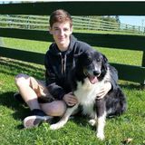 Wonderful Pet Care Provider in London