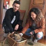A young, pet-experienced adult who wants to provide your animals purrrfect love and care!