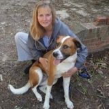 Paws-a-tively Pet Care Services