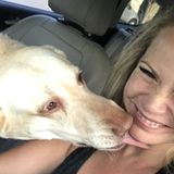 The Neighborhood Dog Sitters are now available in your area