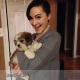 Capable Care For Your Furry Friends