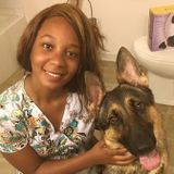 VET TECH WITH 10 years experience In animal care !
Interested In Job Opportunities in Hampton roads!