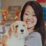 Pet Caregiver with Kennel and Veterinary Experience