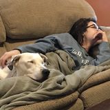 Interested In High Point Animal Services
