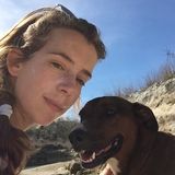 Dog sitting in the Hill Country