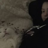 Willing to take care of a large variety of animals!