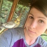 Toulumne County House & Pet Sitter Available For Job Opportunities around Sonora
