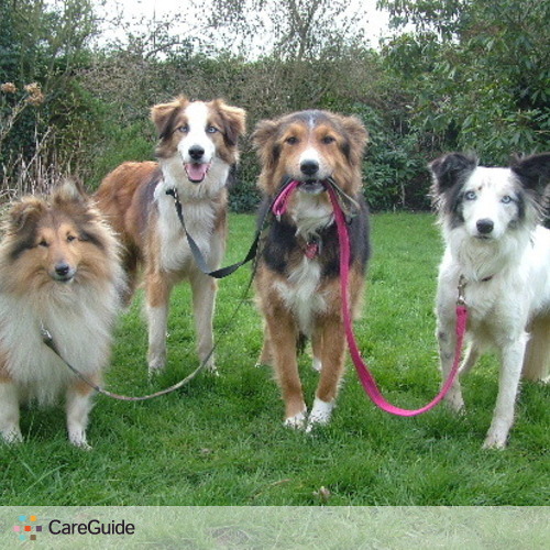 Pet Care Provider Chris W's Profile Picture