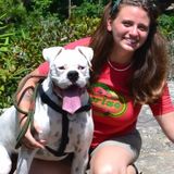 Pet and Home Care Extraordinaire!