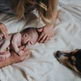 Looking for Occasional Nanny for Infant