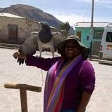 Seeking Local Housekeeping Opportunities
