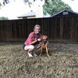 Flower Mound, Texas Cat Sitter