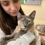 Animal Lover Searching for Clovis/Fresno Cat/Dog Sitting Opportunity