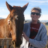 Fort Collins ..pet care/Sitter from exotics to Equine.