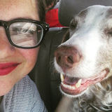 Experienced, Reliable, Friendly Pet Sitters Available Now! :)