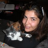 Reliable Pet Services Downtown and Surrounding Areas