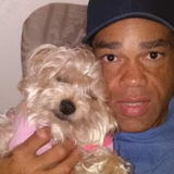Quiet Pet Loving, Responsible Energetic, Housesitter. Minneapolis, Minnesota