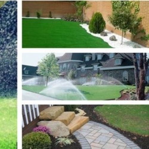 Landscaper Provider Dedicated L's Profile Picture