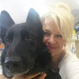 A FURKIDS DREAM in Windsor and surrounding area