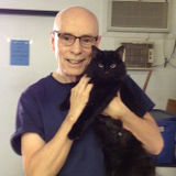 Veterinary graduate iso work while studying for board exams